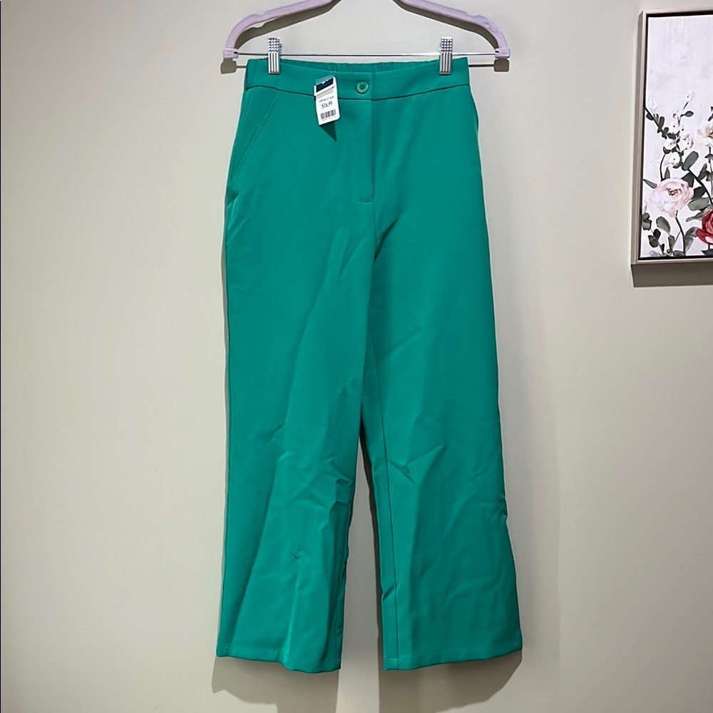 🌸3 for $10 Sincerely Jules Teal Ankle Pants